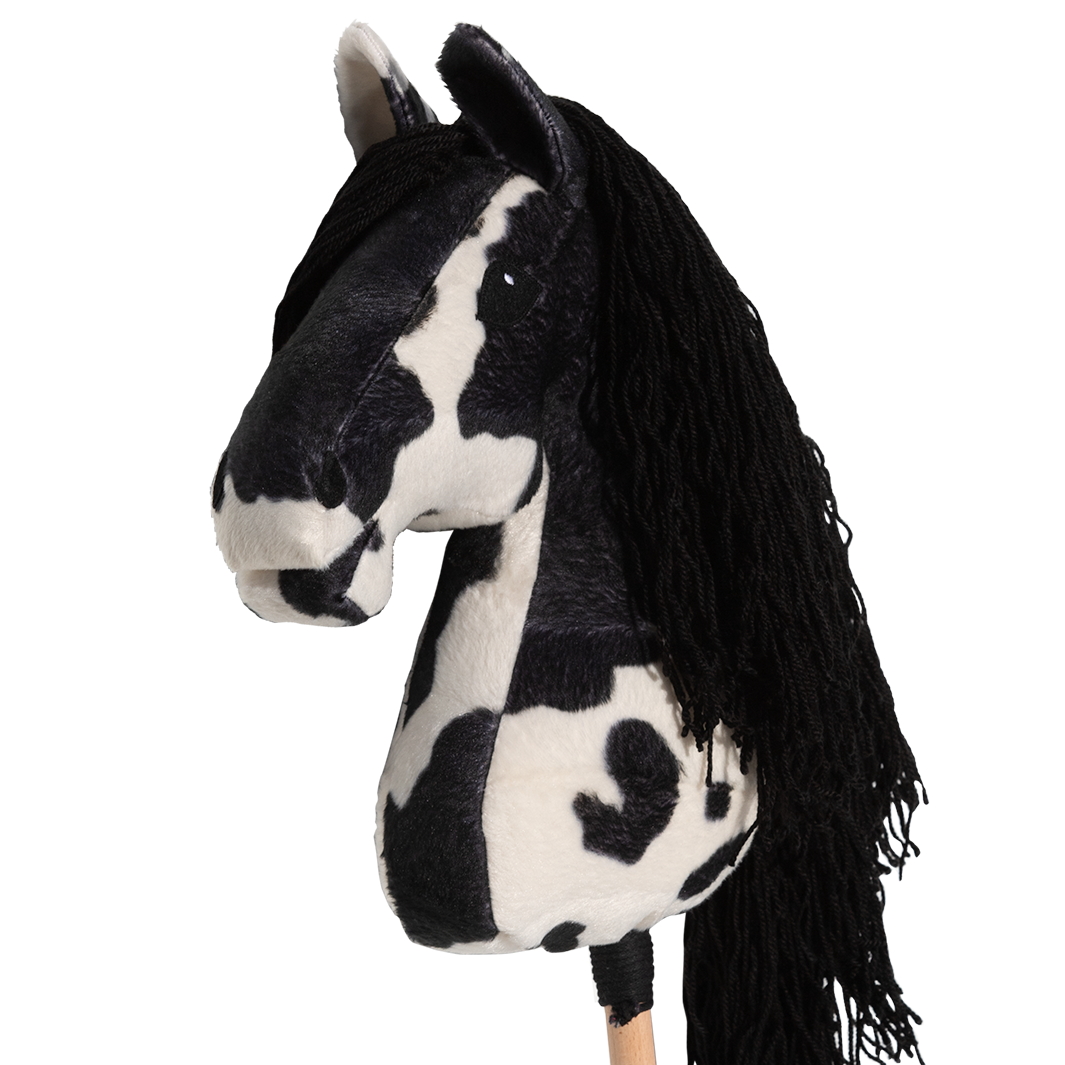 Hobby Horse Arizona