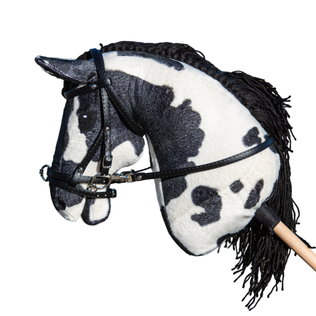 Hobby Horse Arizona