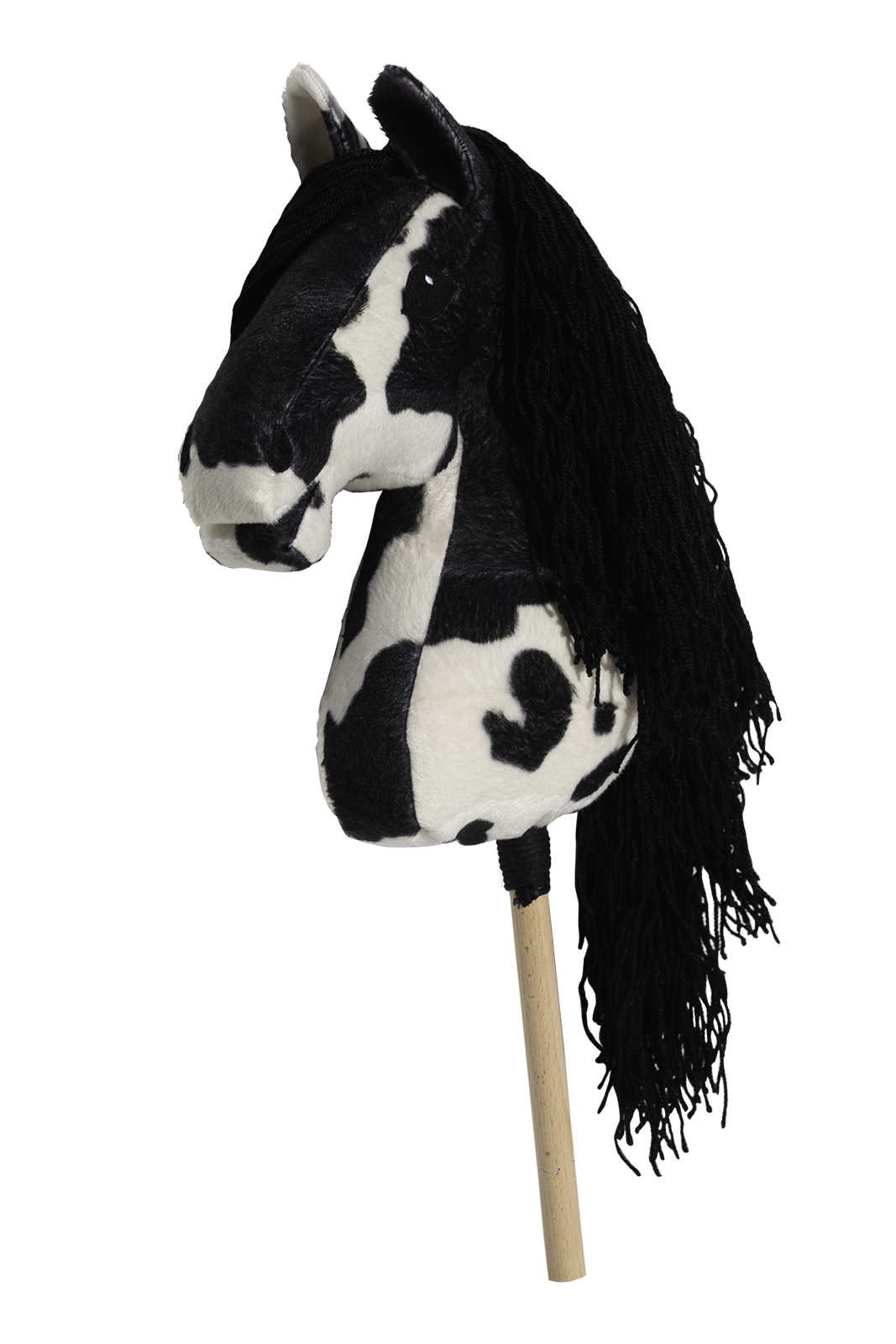 Hobby Horse Arizona