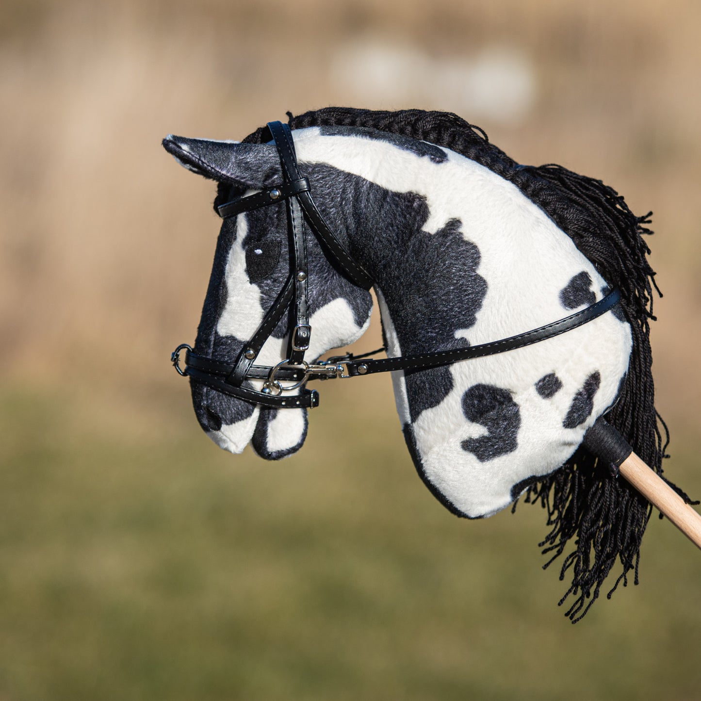 Hobby Horse Arizona