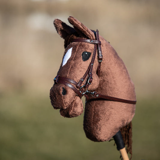 Rider's Pack Stellaris